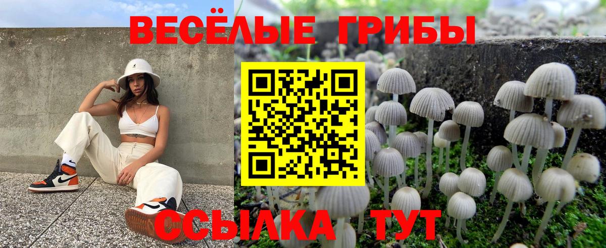Псилоцибиновые грибы MAGIC MUSHROOMS Куйбышев